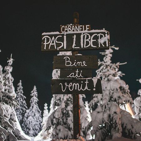 Camere De Inchiriat Pasi Liberi Tău Bistra Exteriör bild