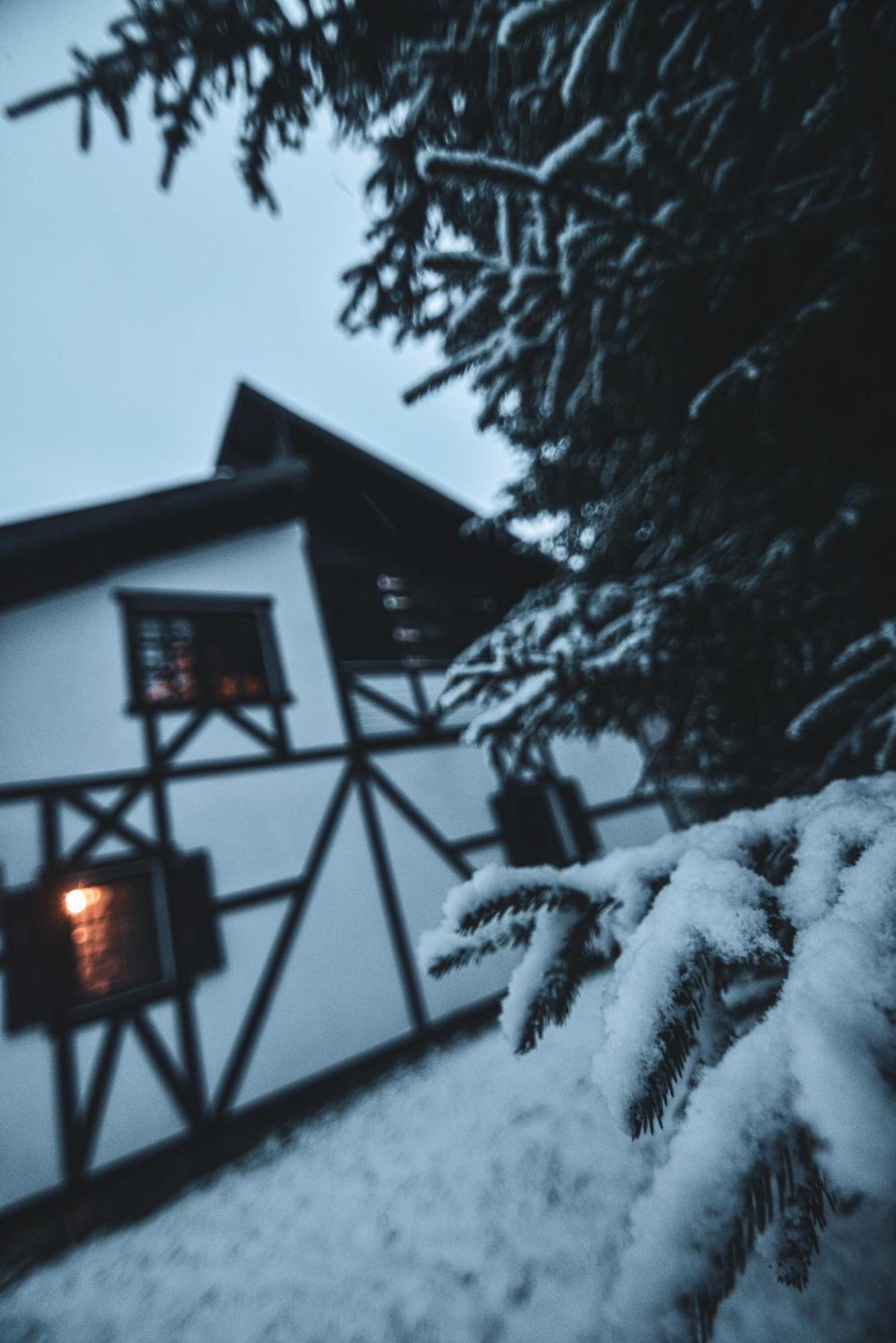 Camere De Inchiriat Pasi Liberi Tău Bistra Exteriör bild